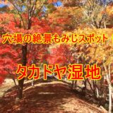 タカドヤ湿地の紅葉がすごすぎる！愛知県豊田市のおすすめ穴場スポット