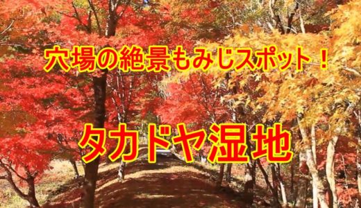 タカドヤ湿地の紅葉がすごすぎる！愛知県豊田市のおすすめ穴場スポット